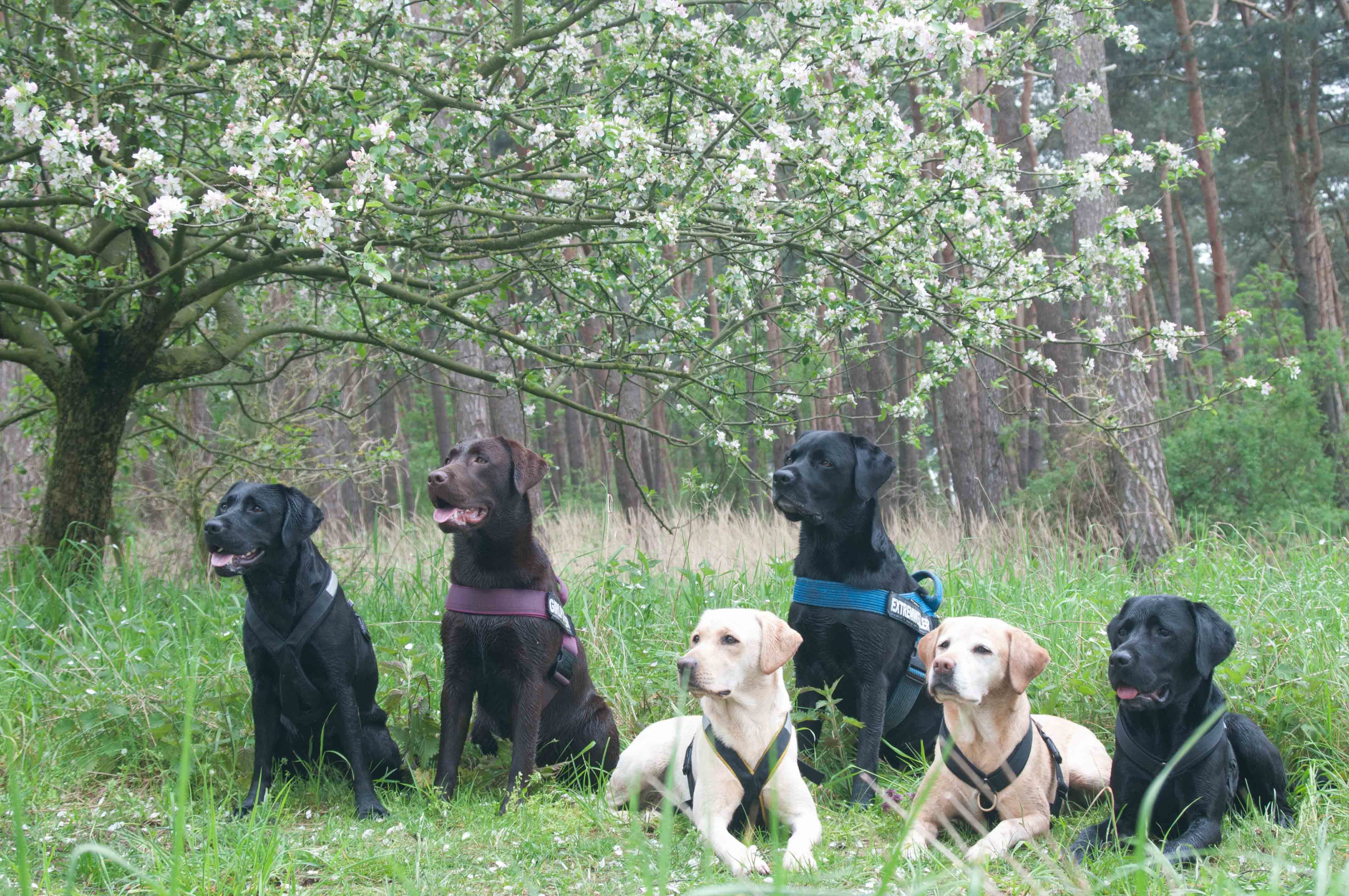 Familienfoto Mai17